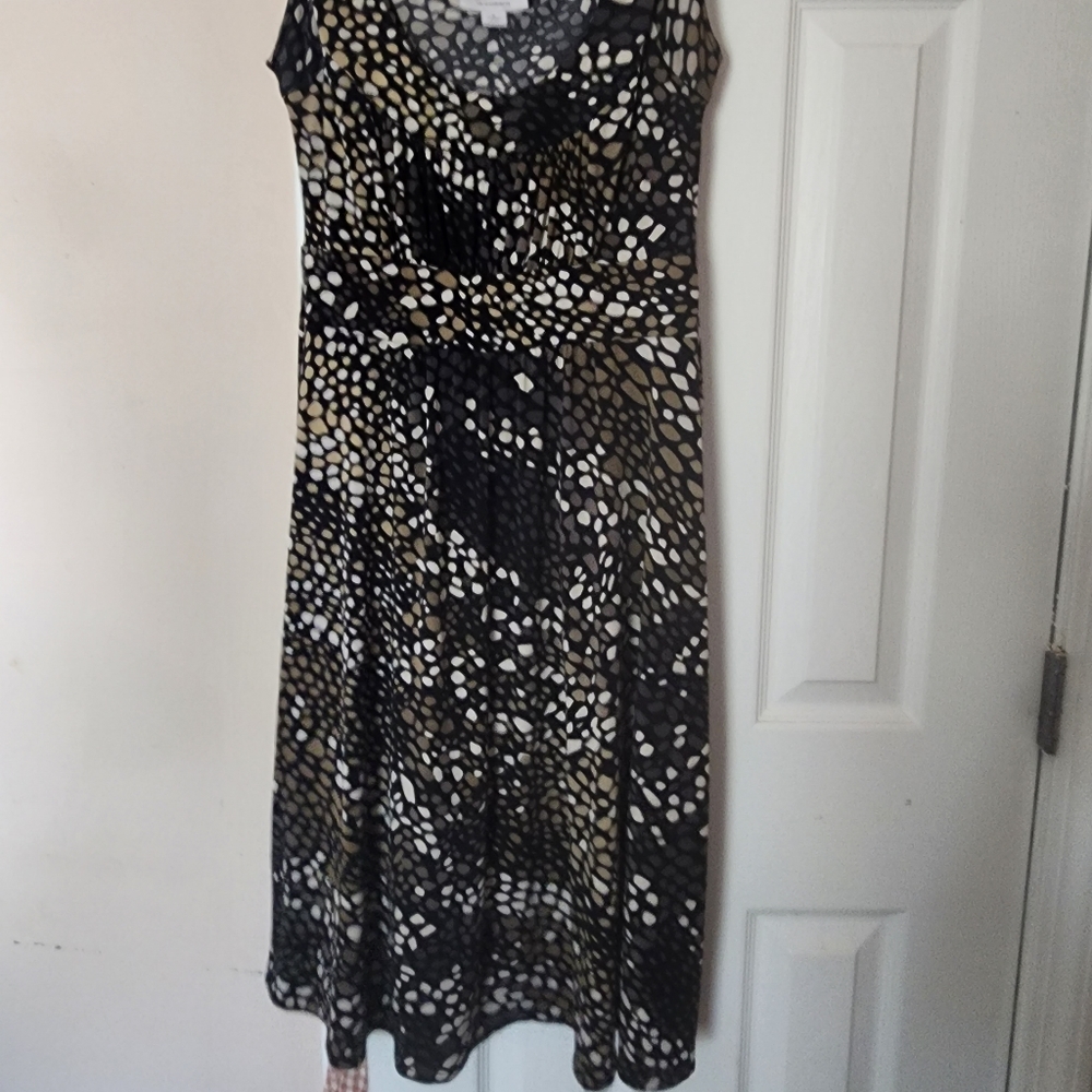 Dress Barn dress